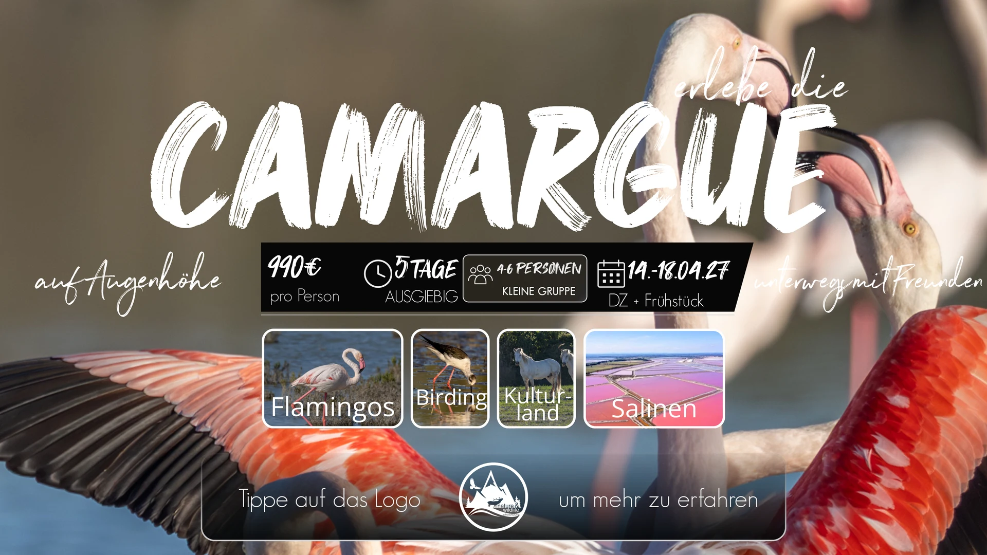 Originalflyer Camargue 2027