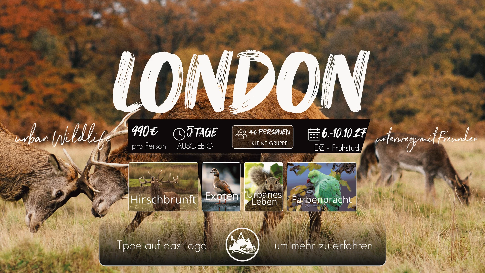 Originalflyer London Urban Wildlife 2027