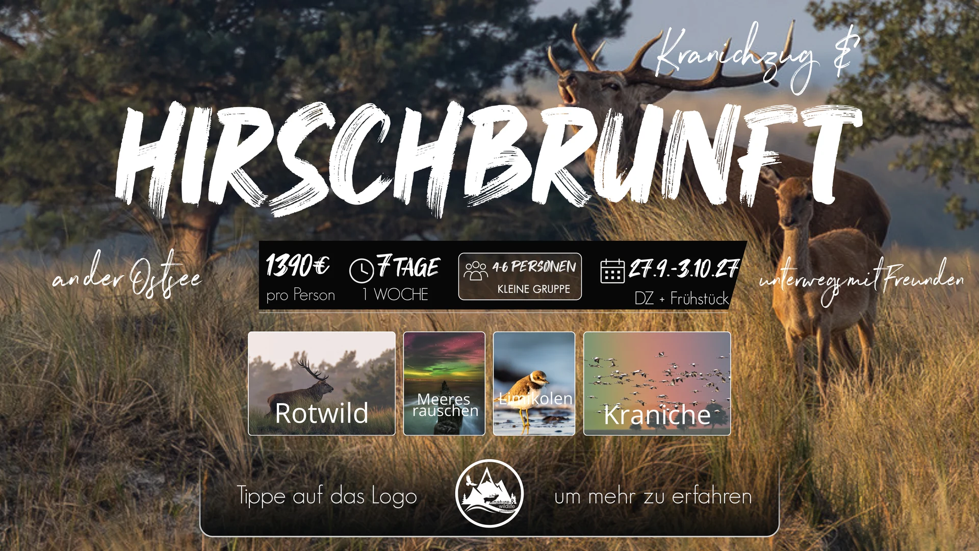 Originalflyer Kranichzug & Hirschbrunft 2027