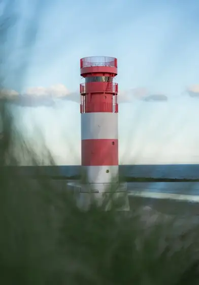 Seehunde, Kegelrobben und magische Augenblicke auf Helgoland