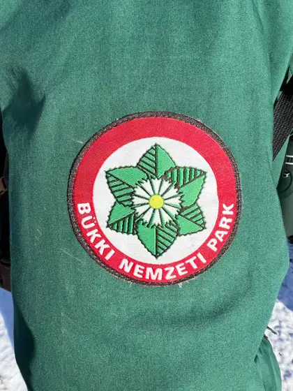 Kaiseradler 2025 in Ungarn