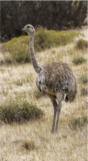NWPT · Naturfotografie
