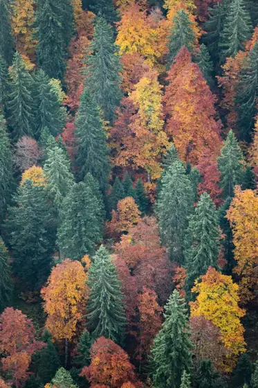 NWPT · Naturfotografie