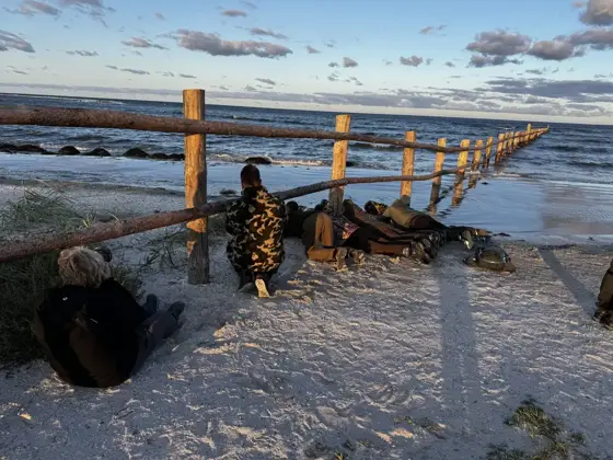 Hirschbrunft, Seehunde, Seeadler und die Schönheit der Ostsee