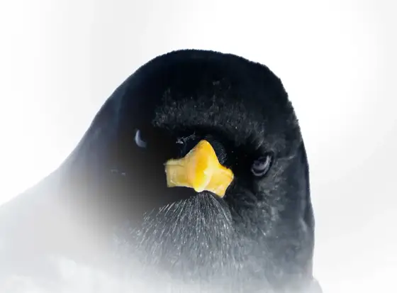 NWPT · Naturfotografie