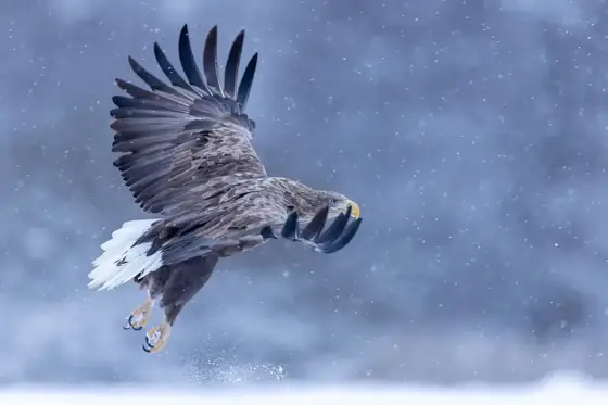 NWPT · Naturfotografie