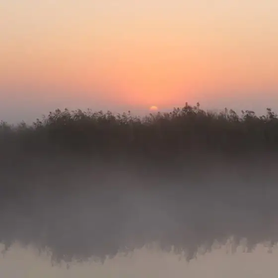 NWPT · Naturfotografie