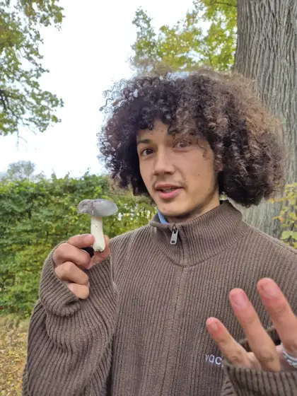 Mushroom Mania