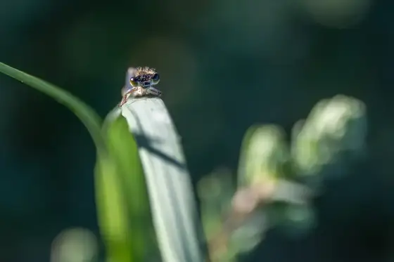 NWPT · Naturfotografie