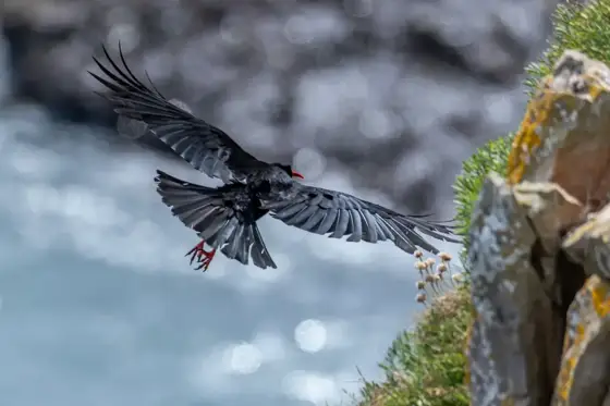 NWPT · Naturfotografie