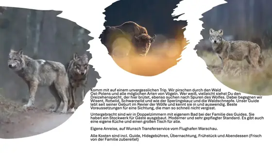 NWPT · Naturfotografie