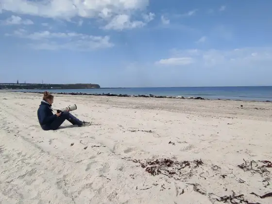 Helgoland 2026
