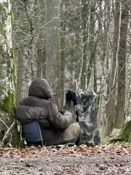 Von Wölfen und wilden Bisons
Polen 2024