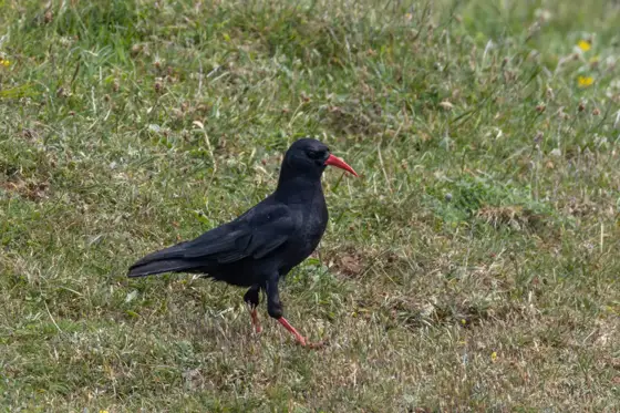 NWPT · Naturfotografie