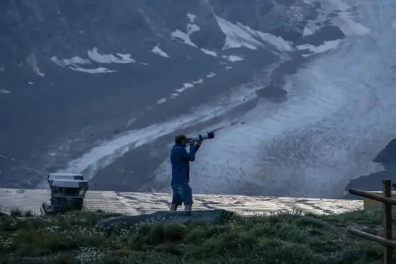 Sensation Bartgeier und Murmeltiere Besondere Erlebnisse am Grossglockner