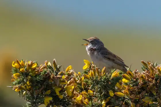 NWPT · Naturfotografie