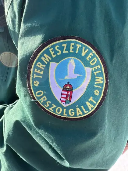 Kaiseradler 2025 in Ungarn