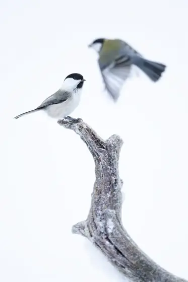 NWPT · Naturfotografie