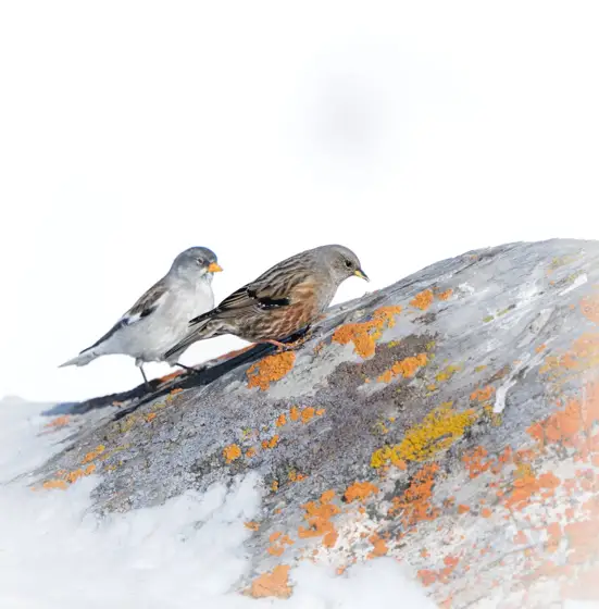 NWPT · Naturfotografie