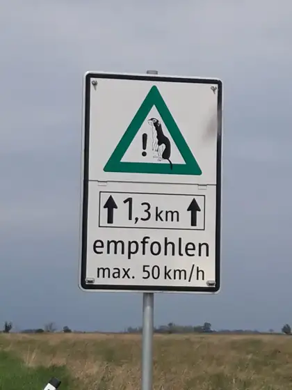„Neusiedler See“ 04/22