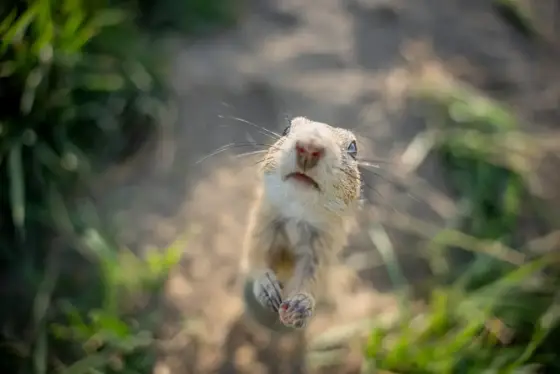NWPT · Naturfotografie