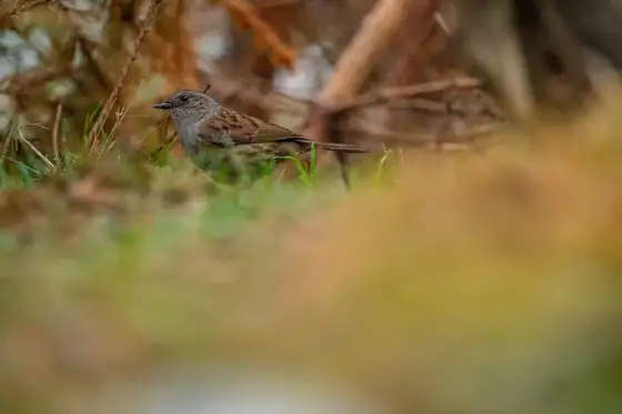 NWPT · Naturfotografie