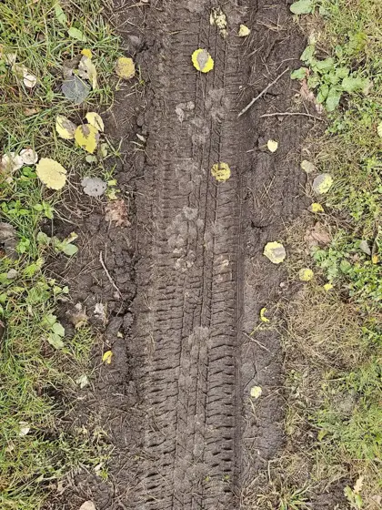 Auf den Spuren des Wolfes
