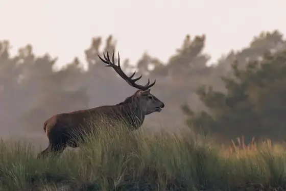 NWPT · Naturfotografie