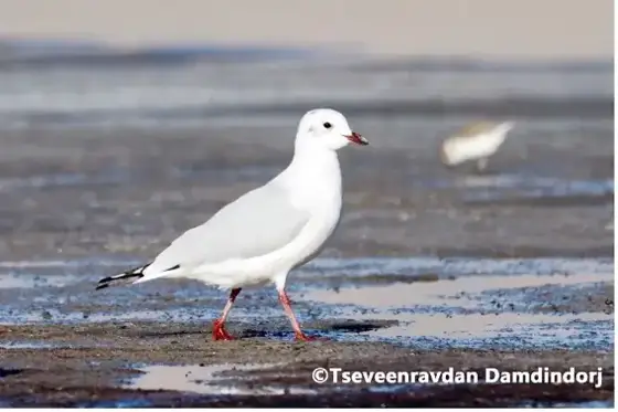 NWPT · Naturfotografie