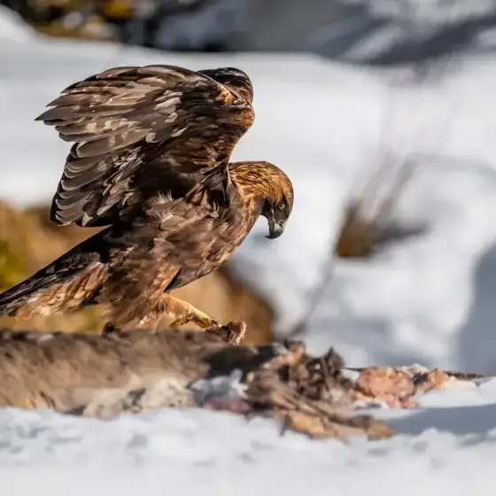 NWPT · Naturfotografie
