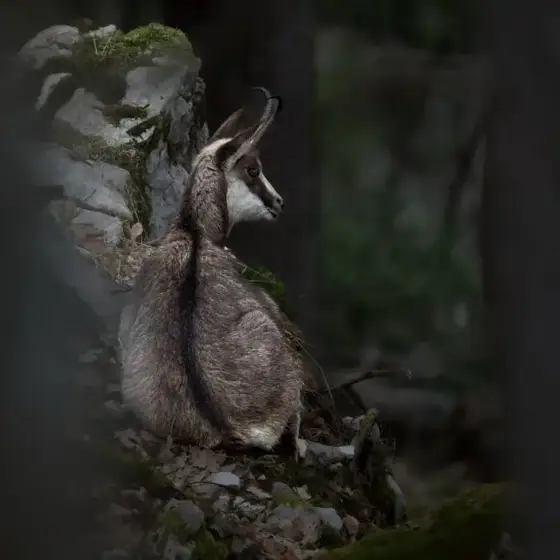 NWPT · Naturfotografie