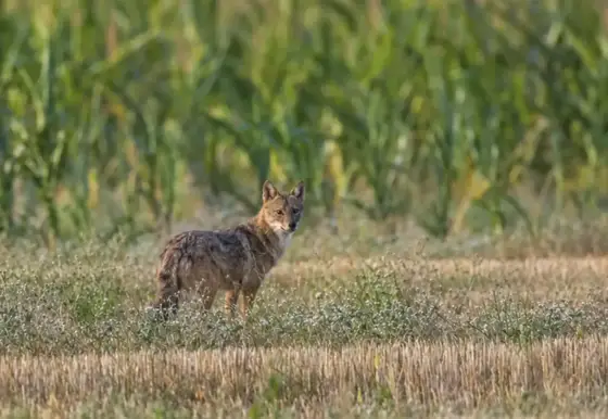 NWPT · Naturfotografie