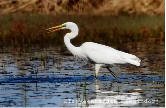 NWPT · Naturfotografie