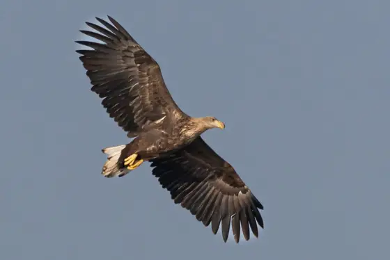 NWPT · Naturfotografie