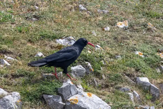 NWPT · Naturfotografie