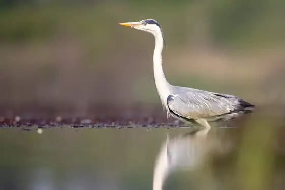 NWPT · Naturfotografie