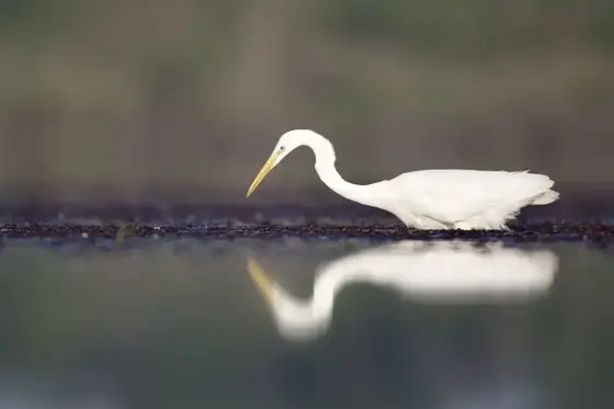 NWPT · Naturfotografie
