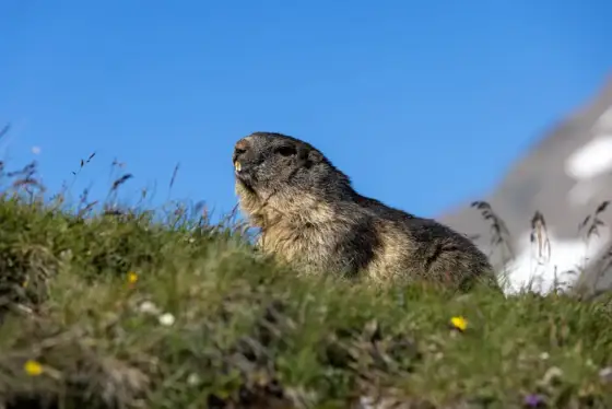 NWPT · Naturfotografie