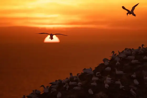 NWPT · Naturfotografie