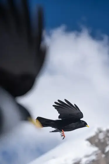 NWPT · Naturfotografie