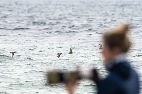 Helgoland 2026