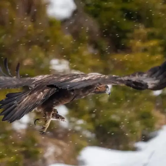 NWPT · Naturfotografie
