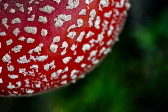 NWPT · Naturfotografie