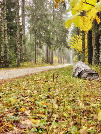 Auf den Spuren des Wolfes