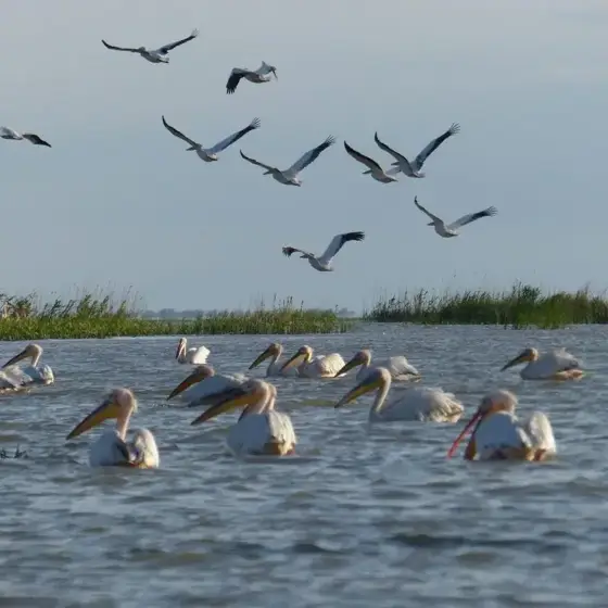 NWPT · Naturfotografie