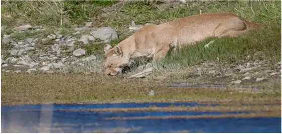NWPT · Naturfotografie