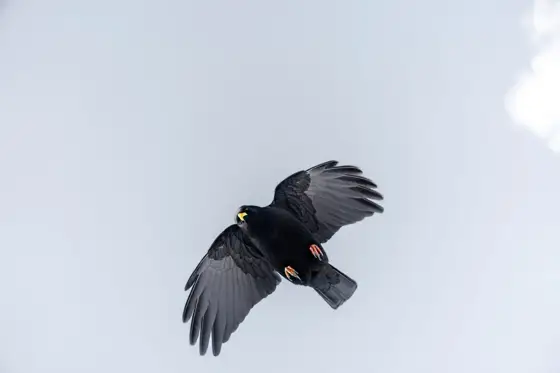 NWPT · Naturfotografie