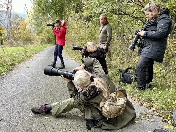 „Greifvögel“ 10/22