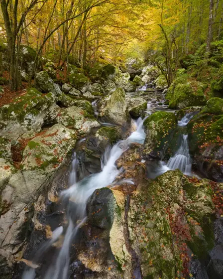 NWPT · Naturfotografie