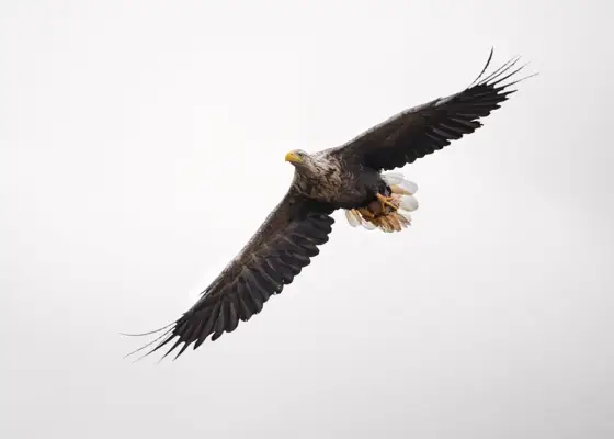 NWPT · Naturfotografie